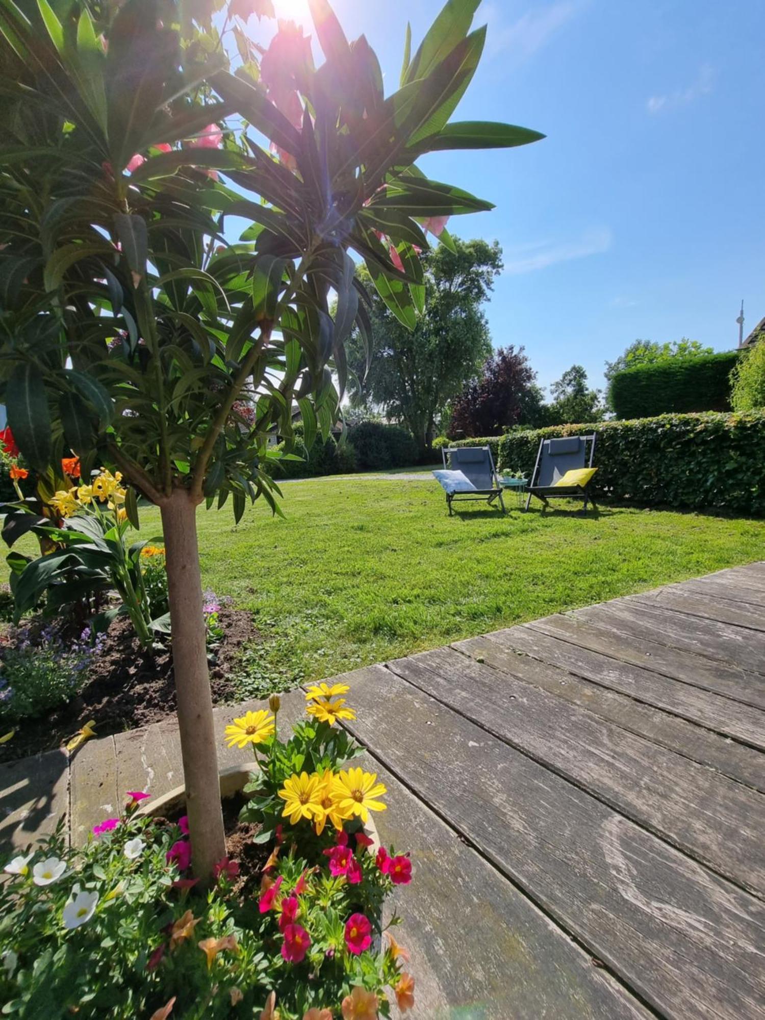 Rietmeer Vakantiehuis Friesland Gaastmeer Exterior foto